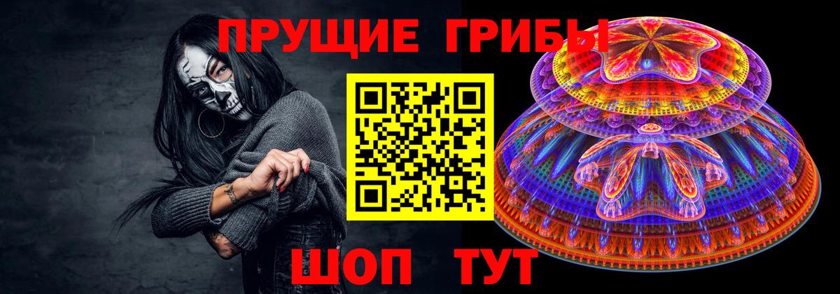 Галлюциногенные грибы Cubensis  Вход с VPN  Черногорск 
