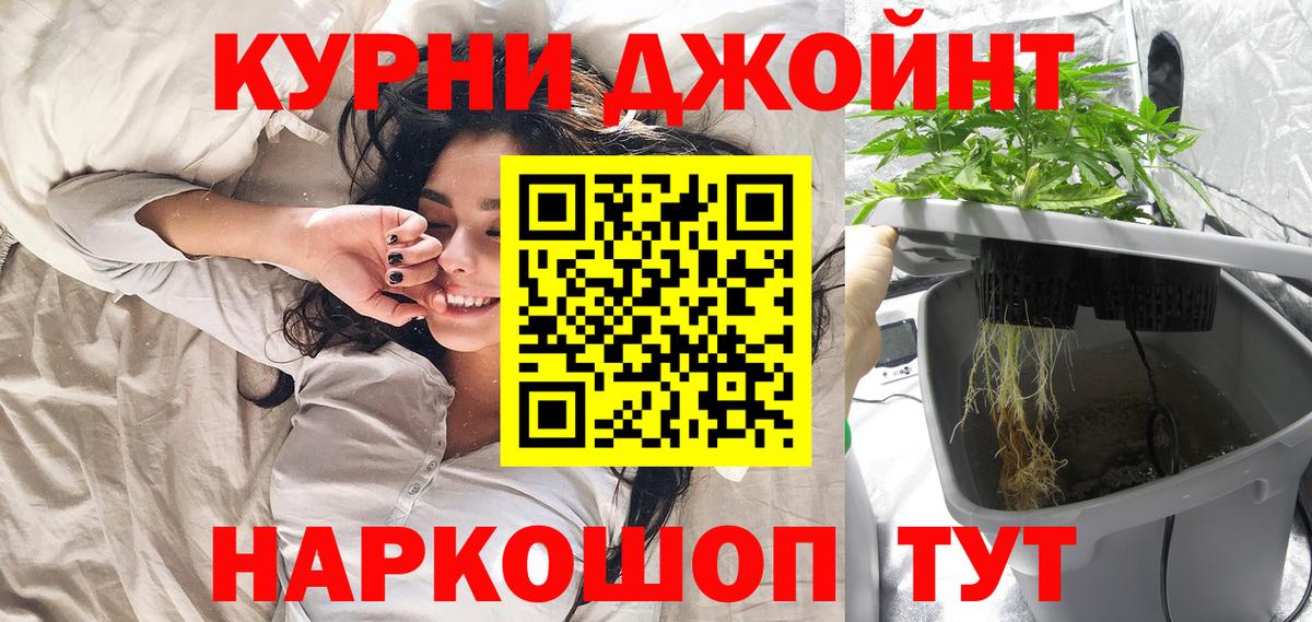 Бошки Шишки сатива Черногорск